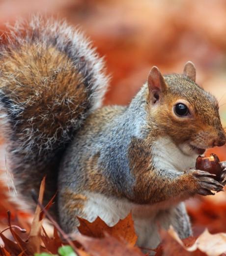 shutterstock 128704667 Kopie