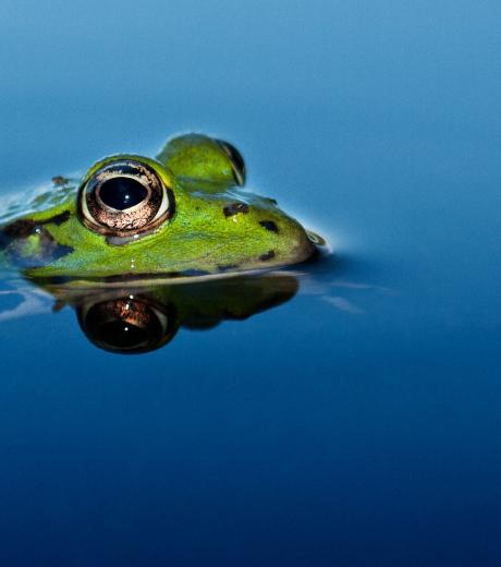 shutterstock 70447519 klein