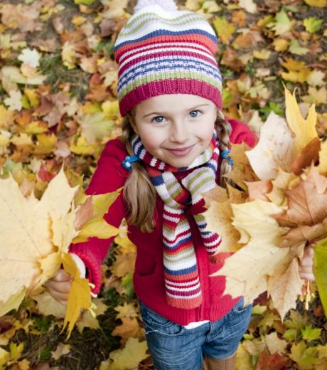 shutterstock 83014399