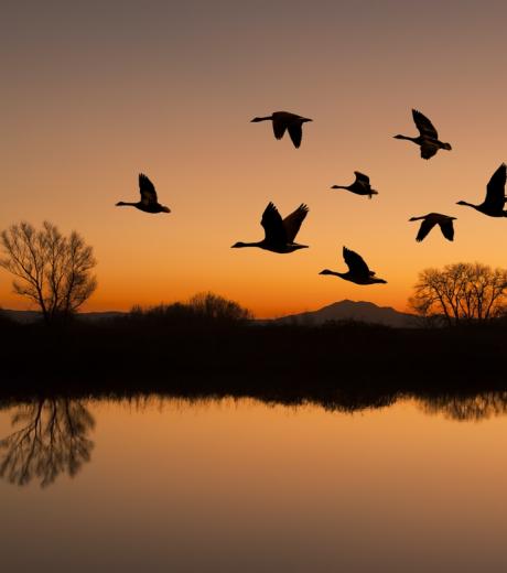 shutterstock 93127033