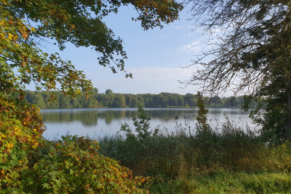 Grabauer Muehlenteich Sonne