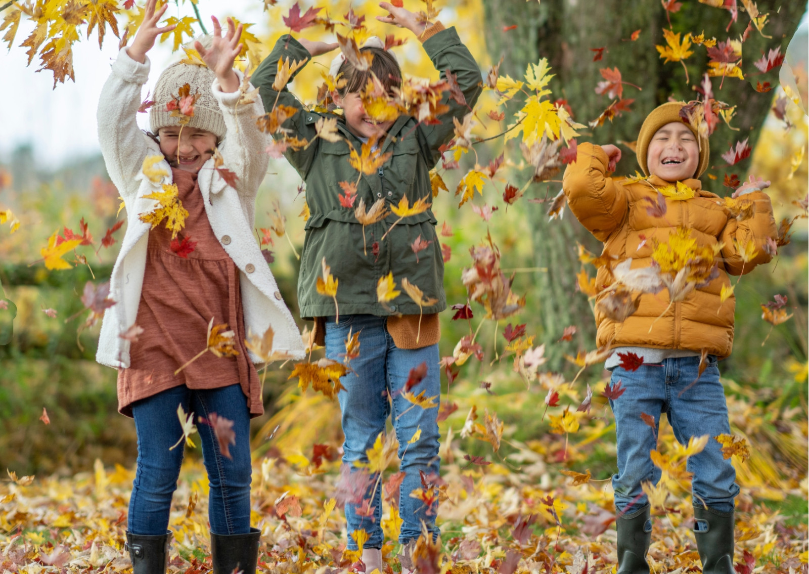 Herbst Kinder Canva freie Nutzung