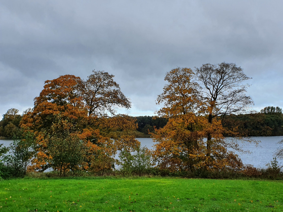 Herbstbaeume