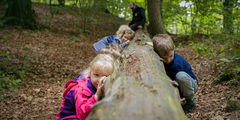 Naturpaedagoisches Programm Naturerlebnis Grabau