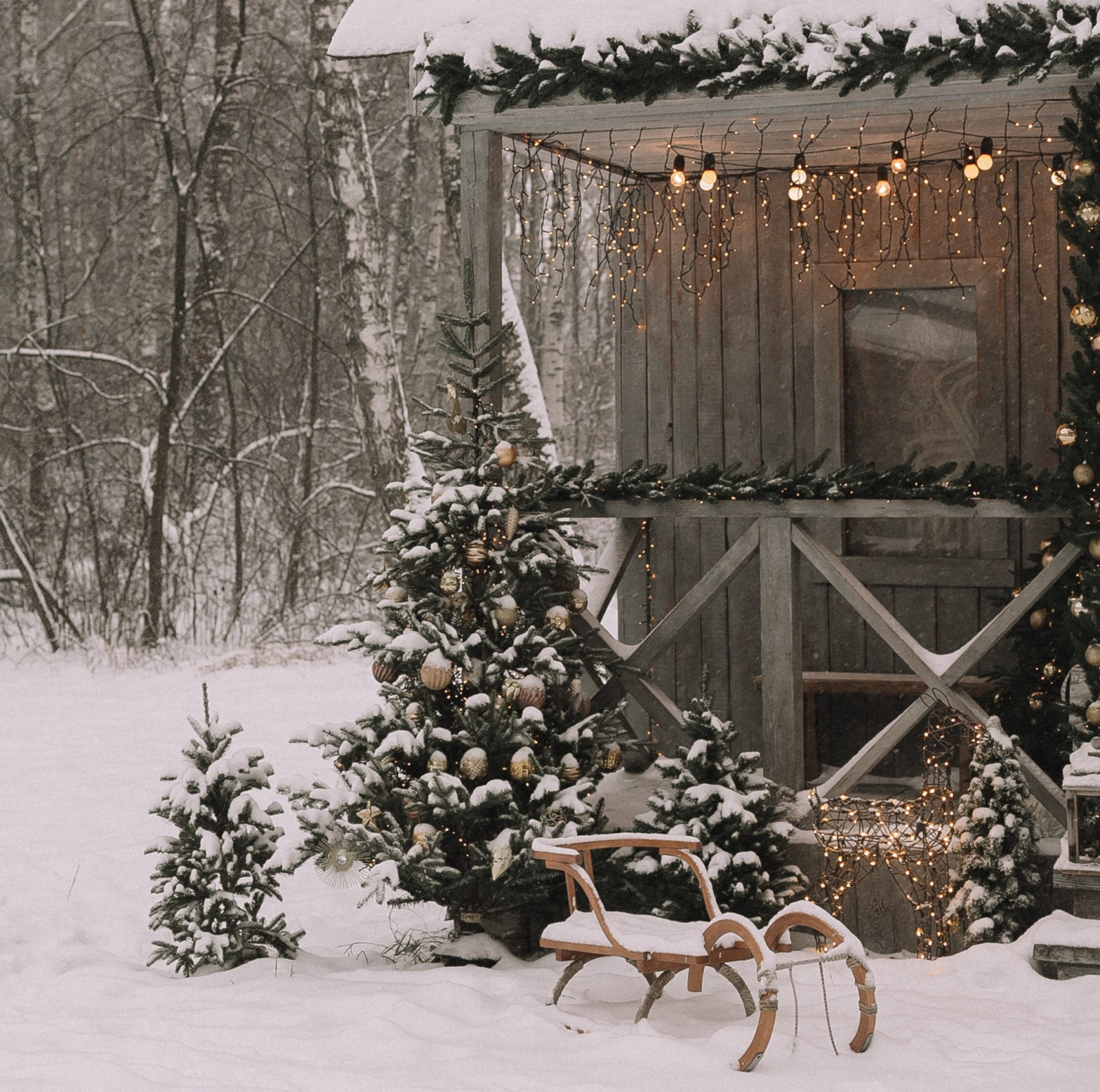 Wald und Gartenweihnacht freie Verwendung pexels Vika Kirillova Kopie